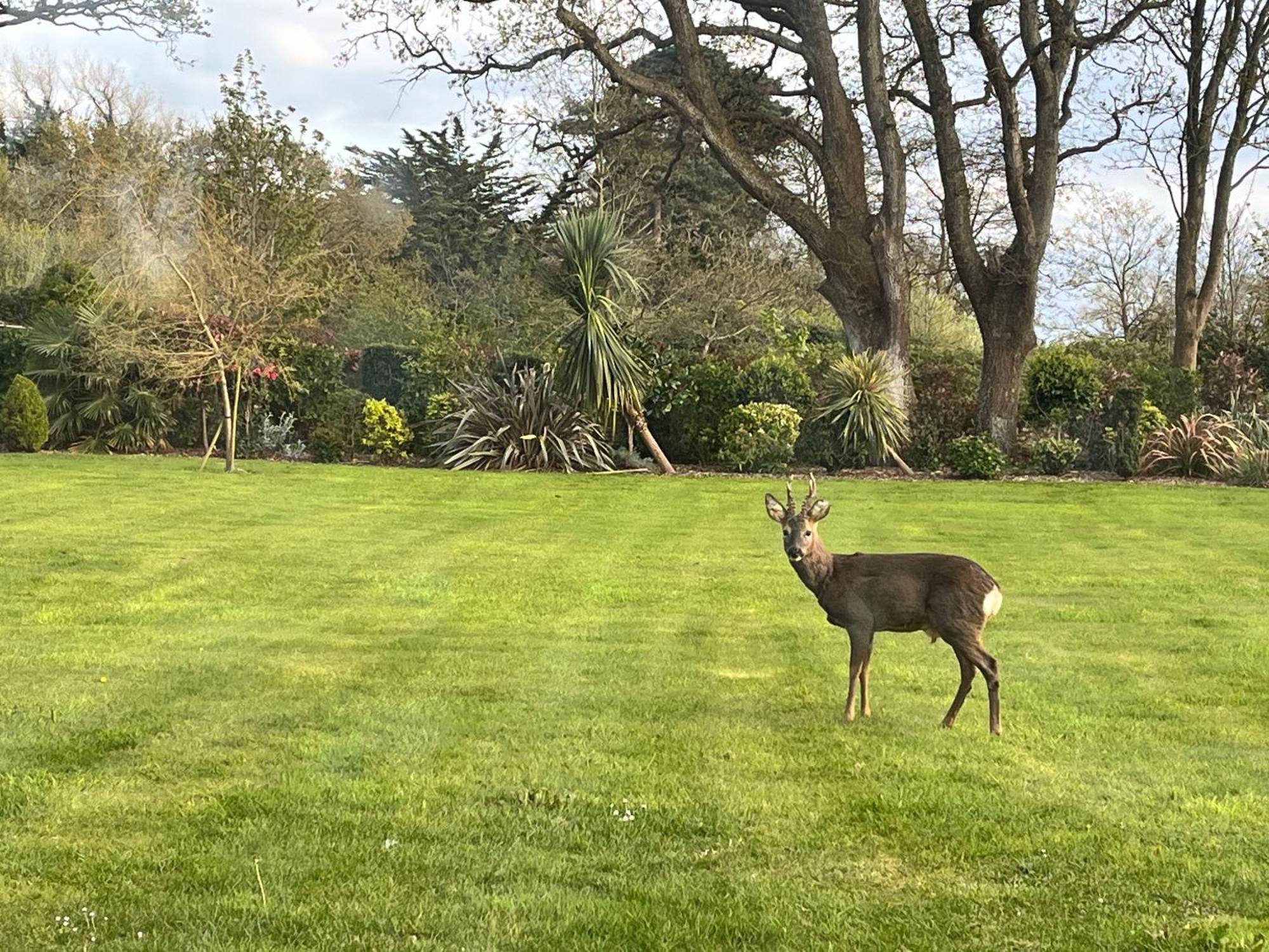 Stay At 'The Elms' In Tranquil Church Norton, Selsey - Ground Floor Bedroom, Own Private Bathroom, Quiet Beach, 2 Acre Garden By The Sea, On Edge Of Wildlife Nature Reserve 外观 照片