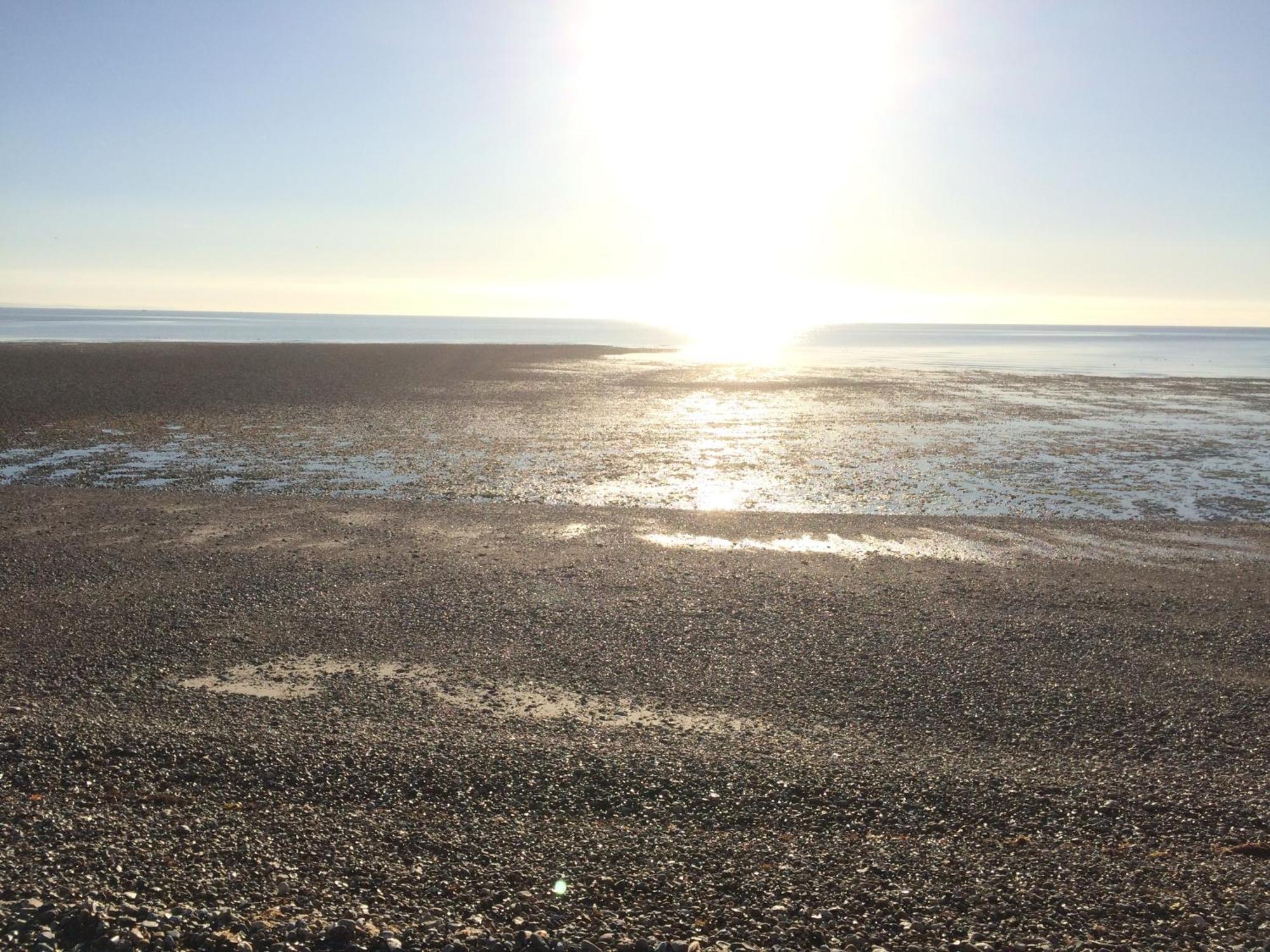 Stay At 'The Elms' In Tranquil Church Norton, Selsey - Ground Floor Bedroom, Own Private Bathroom, Quiet Beach, 2 Acre Garden By The Sea, On Edge Of Wildlife Nature Reserve 外观 照片