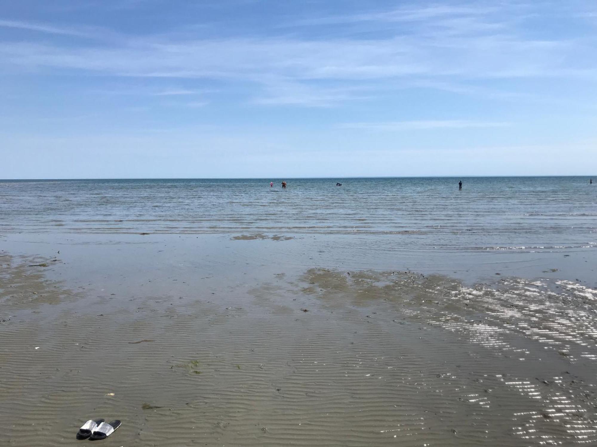 Stay At 'The Elms' In Tranquil Church Norton, Selsey - Ground Floor Bedroom, Own Private Bathroom, Quiet Beach, 2 Acre Garden By The Sea, On Edge Of Wildlife Nature Reserve 外观 照片
